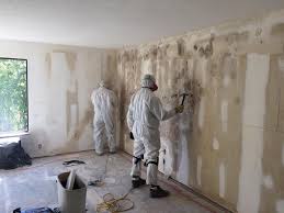 Professional Mold Inspection in Natchitoches, LA